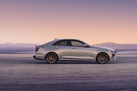 Steinle GMC Cadillac